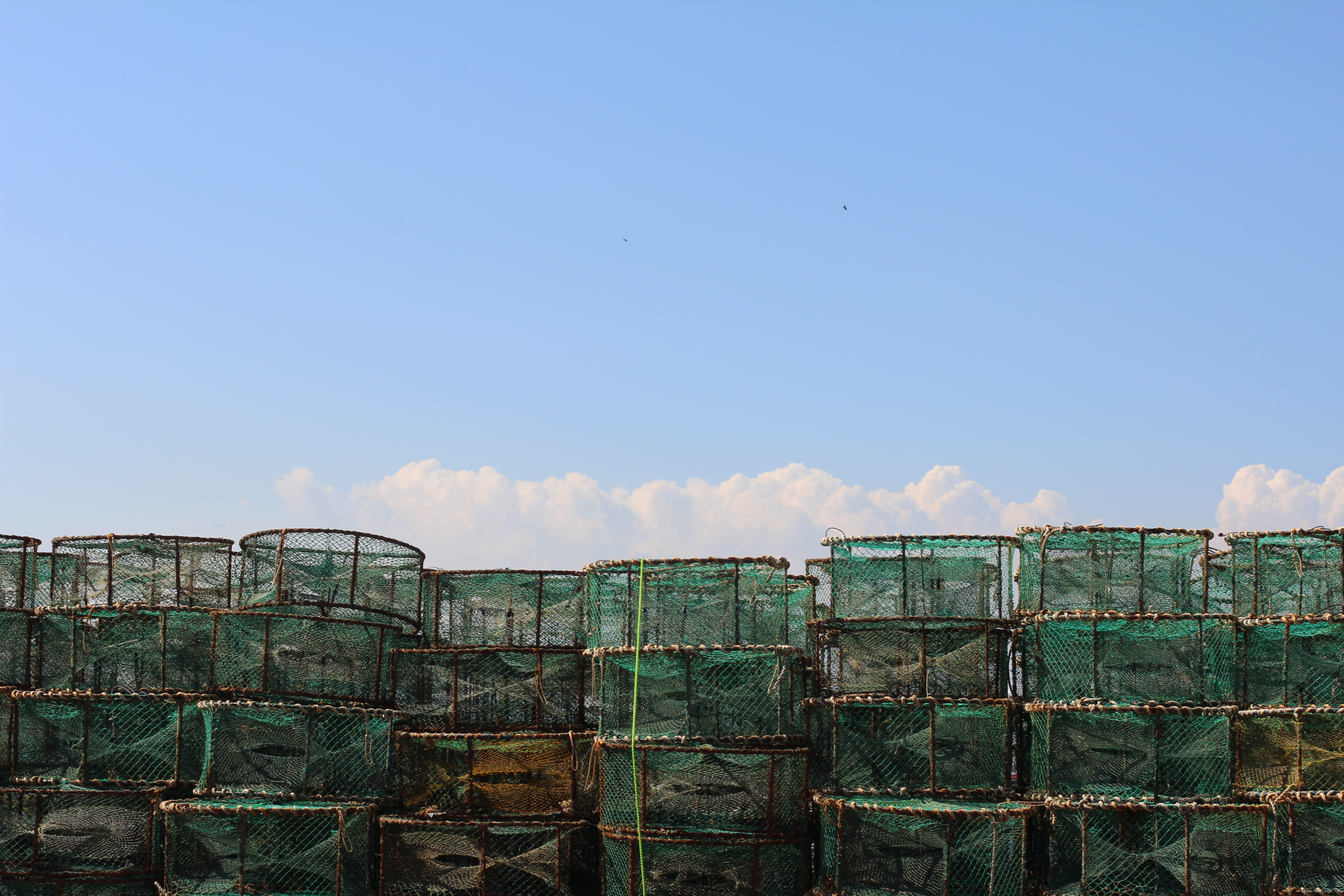 hk fishing nets